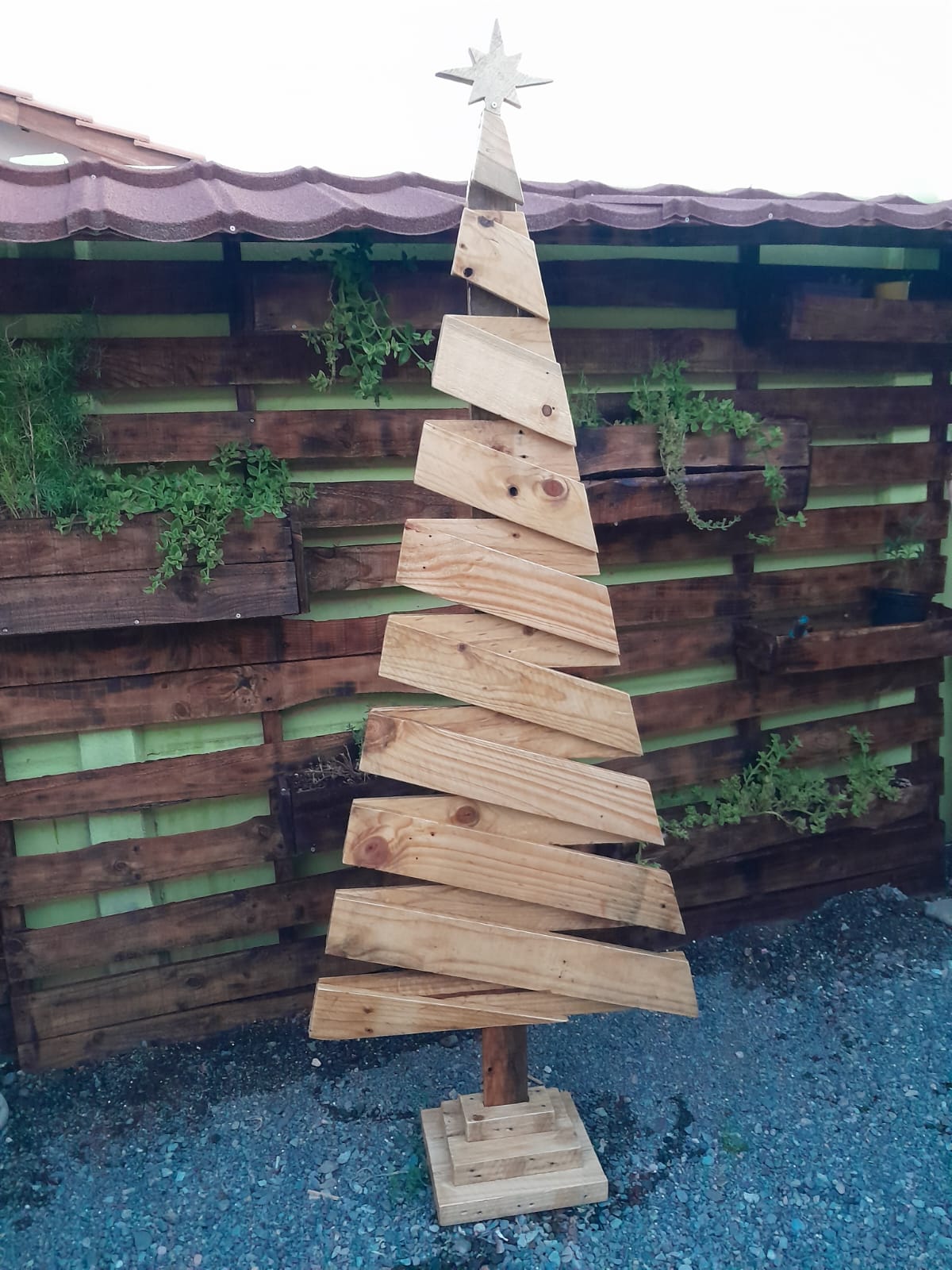 arbol197