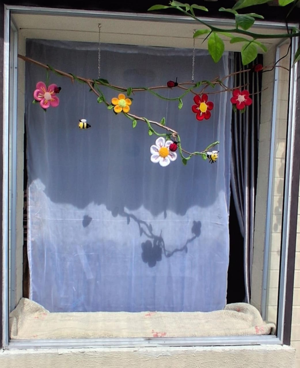 ventana